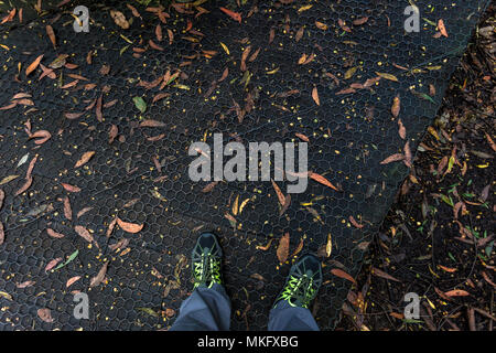 Bereit für ein Abenteuer mit schwarzem Boden Boden Textur und zerstreut getrocknete Blätter Stockfoto