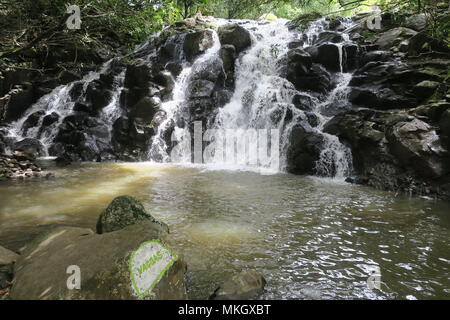 Interessante Wasserfall Chamarel Ebene. Rochester Falls, ein Wasserfall in einem Wald in der Nähe von Souillac, Süden von Mauritius Insel. Stockfoto