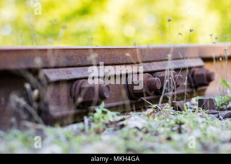 Alte Bahnlinie in einem Waldgebiet. Anschluss metall Eisenbahnschienen. Saison der Feder. Stockfoto