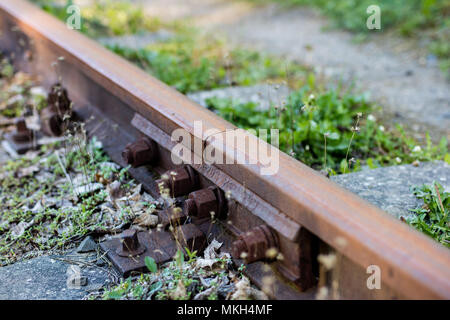 Alte Bahnlinie in einem Waldgebiet. Anschluss metall Eisenbahnschienen. Saison der Feder. Stockfoto