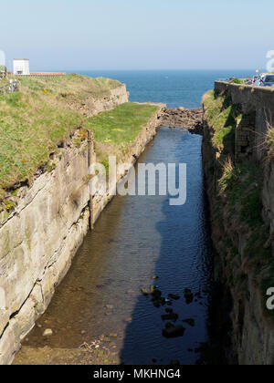 Seaton Sluice, Northumberland - Mann - Hafen und Küste Landschaft gemacht. Der Schnitt, 900 m langer Kanal aus dem 18. Jahrhundert. Stockfoto