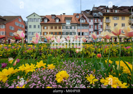 Öffentliche Garten mit bunten Blumen vor einer Reihe von Häusern in Zug, Schweiz, Europa Stockfoto