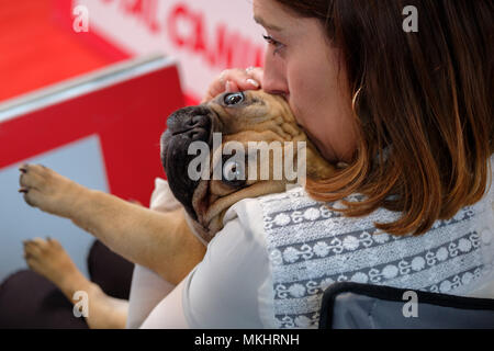 Frau küsste ihre Französische Bulldogge Stockfoto