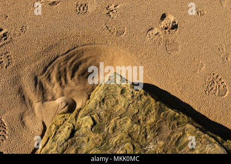 Strand Muster an Embleton Bay, Northumberland, Großbritannien. Stockfoto