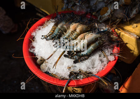 Kambodschanischen lokale Street Food Markt mit frischen Garnelen im Eis Stockfoto
