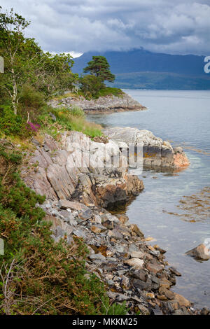 Ufer des Loch Sunart auf Ardnamurchan Halbinsel, der längste See Loch Ness in den Highlands, Schottland, Großbritannien Stockfoto