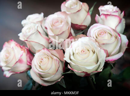 Still-Leben: einen schönen Strauß Rosen auf dunklem Hintergrund. Die Aussicht von oben. Stockfoto