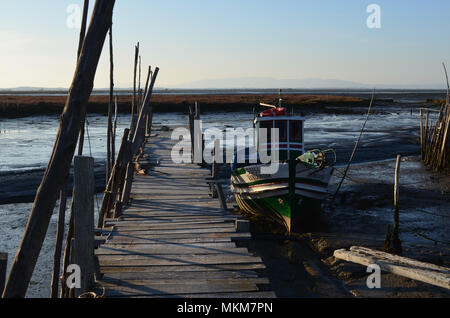 Ebbe in der palaphitic handwerkliche Fischerei Hafen von Carrasqueira, Mündung des Flusses Sado, Portugal Stockfoto
