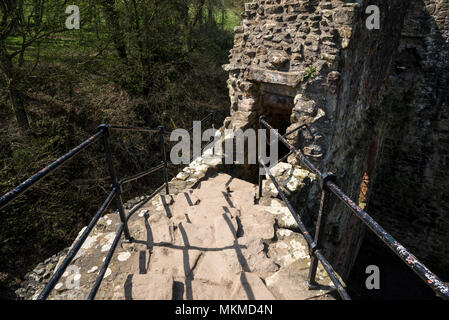 Ruinen von Ewloe schloss im Norden von Wales. 13. Jahrhundert einheimischen Walisischen schloss versteckt im Wald in der Nähe des Dorfes Ewloe. Teil der Wepre Country Park. Stockfoto