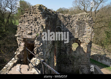 Ruinen von Ewloe schloss im Norden von Wales. 13. Jahrhundert einheimischen Walisischen schloss versteckt im Wald in der Nähe des Dorfes Ewloe. Teil der Wepre Country Park. Stockfoto