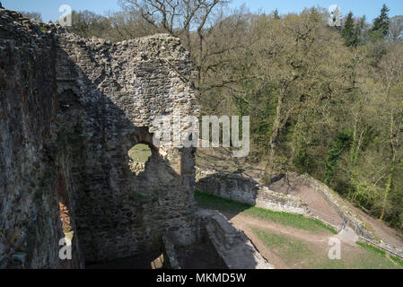 Ruinen von Ewloe schloss im Norden von Wales. 13. Jahrhundert einheimischen Walisischen schloss versteckt im Wald in der Nähe des Dorfes Ewloe. Teil der Wepre Country Park. Stockfoto