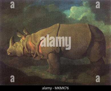 Nashorn Stockfoto