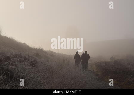 Silhouette von drei Menschen zu Fuß an einem nebligen Morgen in Cannock Chase Stockfoto