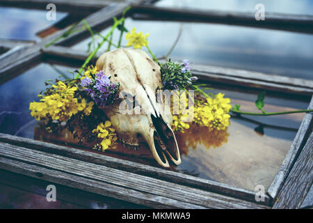 Tier Totenkopf mit Blumen Stockfoto