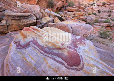 Erstaunlich rosa gestreifte Felsen auf Crazy Hill in Rosa Canyon, in der Nähe von Feuer Wave bei Sonnenuntergang, Valley of Fire State Park, USA Stockfoto