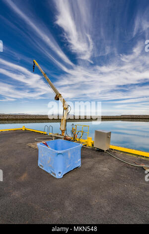 Hafen von Thorlakshofn, Island Stockfoto