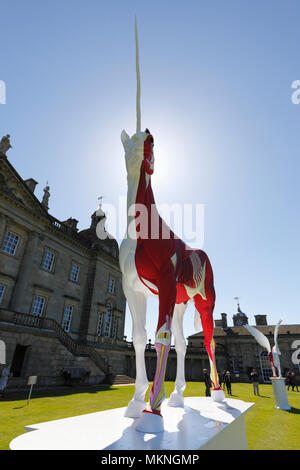 Damien Hirsts Skulpturen auf Anzeige bei Houghton Hall, Norfolk, Großbritannien. Stockfoto