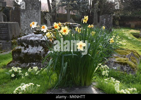 St. James Church, North Cray, Foots Cray Meadows,Sidcup,Kent.UK Stockfoto