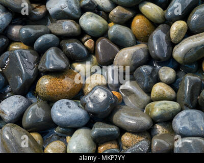 Nass, runde Strand Kies und Stein Stockfoto
