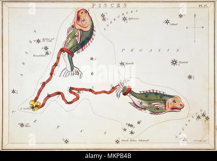 Fische. Karte Nummer 27 von Urania's Mirror, oder einen Blick auf den Himmel, eines der 32 astronomischen Star Chart Karten von Sidney Hall graviert und publshed 1824. Stockfoto