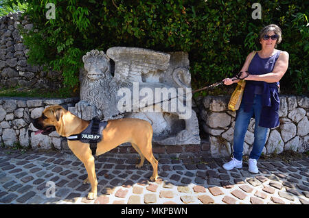 Rijeka, Kroatien. Trsat Burg. Es wird vermutet, dass das Schloss genau an der Stelle eines antiken Illyrischen und Römische Festung liegt. Eine Frau, die Touristen mit einem Corso Hund. Im Hintergrund ein bas-relief der Löwe von San Marco erinnert an die Herrschaft von Venedig auf diese Länder. Stockfoto