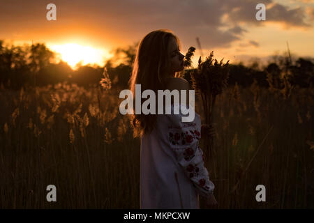 Junge Frau in der Ukrainischen traditionellen nationalen bestickt shirt Spaziergänge durch Wiesen und sammelt Blumenstrauß der wilden Kräuter bei Sonnenuntergang. Stockfoto