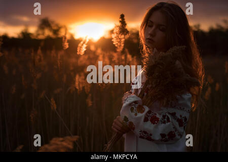 Porträt der jungen Frau, die in der ukrainischen traditionellen nationalen bestickt Shirt mit Duft der wilden Kräuter auf der Wiese bei Sonnenuntergang. Stockfoto