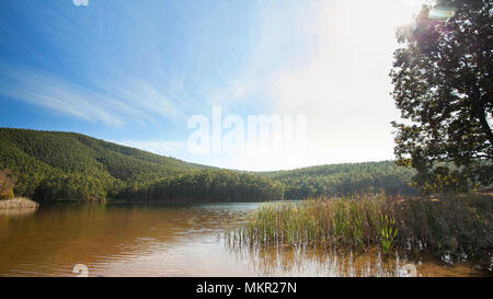 See mit Bäume am Ufer. Strahlend blauer Himmel an einem sonnigen Tag Stockfoto