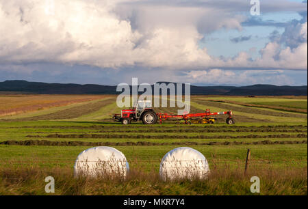 Traktor mit Gras Ballen weiße Kunststofffolie in Skeiða gestapelt - og Hrunamannavegur, Island Stockfoto