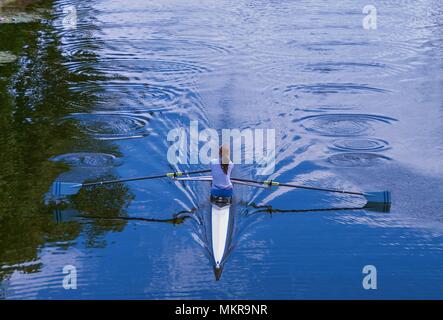 Einsamer Ruderer Training auf dem Fluss in England Stockfoto