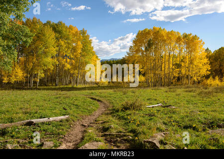 Mountain Trail - Herbst Blick von einem Berg Wanderweg, in der Nähe von Kebler, Crested Butte, Colorado, USA. Stockfoto