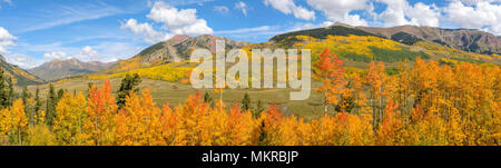 Herbst Berge - Panoramablick auf hohe Berge und Bergketten, die von bunten Herbst aspen Olivenhainen umgeben, in der Nähe von Crested Butte, Colorado, USA Stockfoto