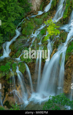 Europa, Balkan, Kroatien, Plitvicer Seen Nationalpark Stockfoto