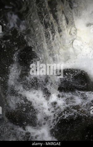 Englisch Bäume und Blumen im Frühling Stockfoto