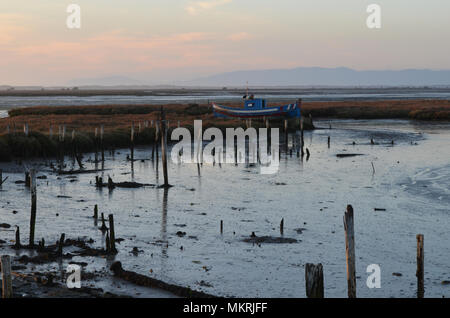 Ebbe in der palaphitic handwerkliche Fischerei Hafen von Carrasqueira, Mündung des Flusses Sado, Portugal Stockfoto