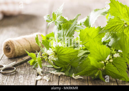 Weiße tote Nessel auf alten Holztisch. Stockfoto