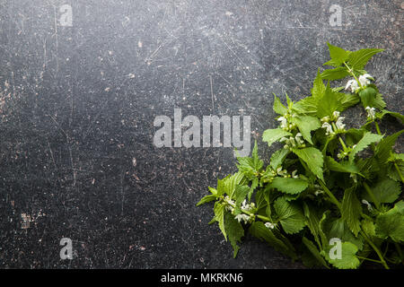 Weiße tote Nessel auf alten Tisch. Stockfoto