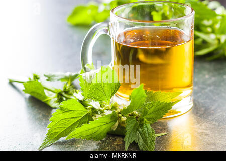 Weiße tote Nessel und Brennnessel Tee. Stockfoto