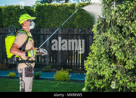 Garten Insektizid durch Spritzen. Kaukasische Arbeiter in seinem 30s Spritzen Garten Bäume mit professioneller Ausrüstung Insekten zu töten. Stockfoto