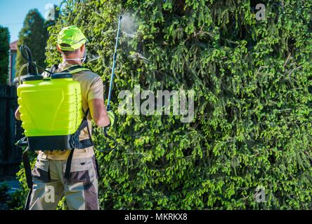 Kaukasische Gärtner mit professionellen Insektizid Gartengeräte Spritzen Bäume. Stockfoto