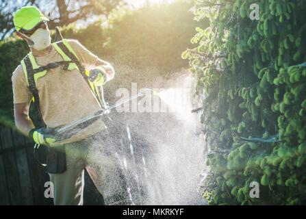 Garten Pflanzen Sprühen von Pestiziden mit professioneller Ausstattung von kaukasischen Gärtner in seinem 30s Stockfoto