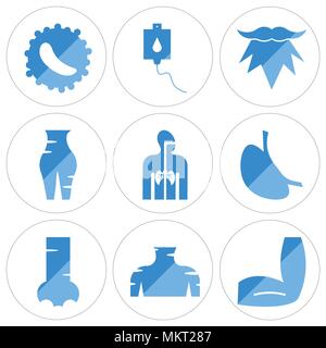 Satz von 9 einfache editierbare Ikonen wie Männer Winkelstück, menschliche Hals, Nase, Magen mit Flüssigkeiten, Atmungsorgane, weiblichen Pubis, Bart, Blut Transfusio Stock Vektor