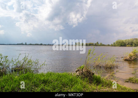 Die wilde Ufer der Weichsel in Polen. Stockfoto