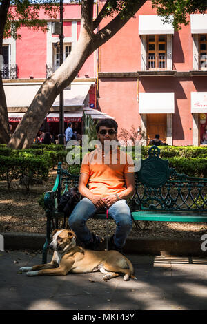 Mann mit Hund, Plaza del centenario, auch genannt das Jardín del centenario, Coyoacan, Mexiko City, Mexiko Stockfoto