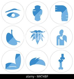 Satz von 9 einfache editierbare Ikonen wie Knochen, Gelenk, Männer Haare, Winkelstück, Blut, Bart, Bauch mit Flüssigkeiten, die menschliche Haut, Schilddrüse, Augenbraue, c Stock Vektor