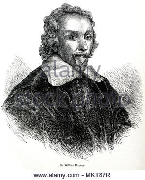 Dr. William Harvey Porträt, 1578 - 1657, war ein englischer Arzt, der wegweisenden Beiträge in der Anatomie und Physiologie, antiken Abbildung aus der Zeit um 1880 Stockfoto