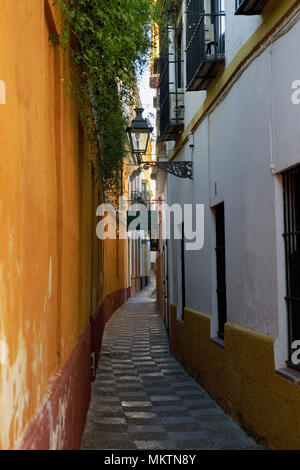 Calle Vida, Barrio De Santa Cruz, Sevilla, Andalusien, Spanien: Eine hübsche, schmale Gasse im alten mittelalterlichen Viertel Stockfoto