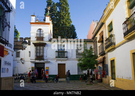 Ein kleines Quadrat (Calle Vida) in Barrio de Santa Cruz, Sevilla, Andalusien, Spanien Stockfoto