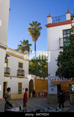 Ein kleines Quadrat (Calle Agua) im Barrio de Santa Cruz, Sevilla, Andalusien, Spanien Stockfoto