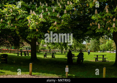 Menschen sitzen in den kühlen Schatten der Kastanienbäume an Ashton Village Green, in der Nähe von Oundle Stockfoto